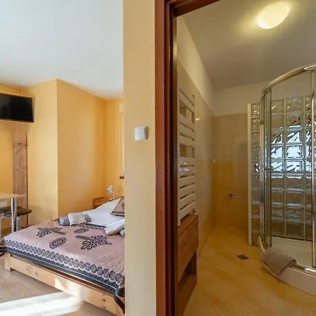 Panorama Szczytow 2 Lägenhet Kościelisko